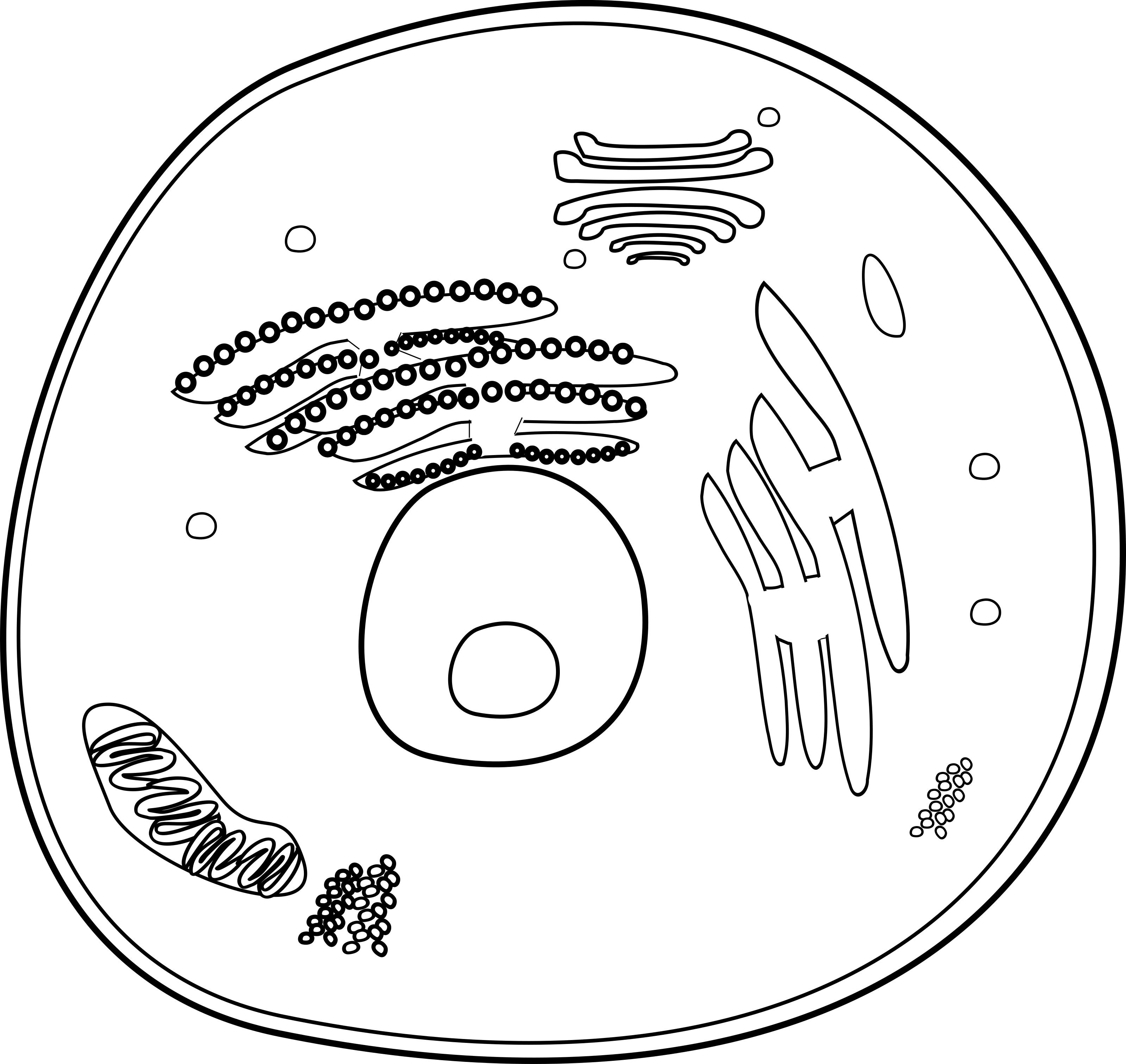 Animal Cell - Black and White