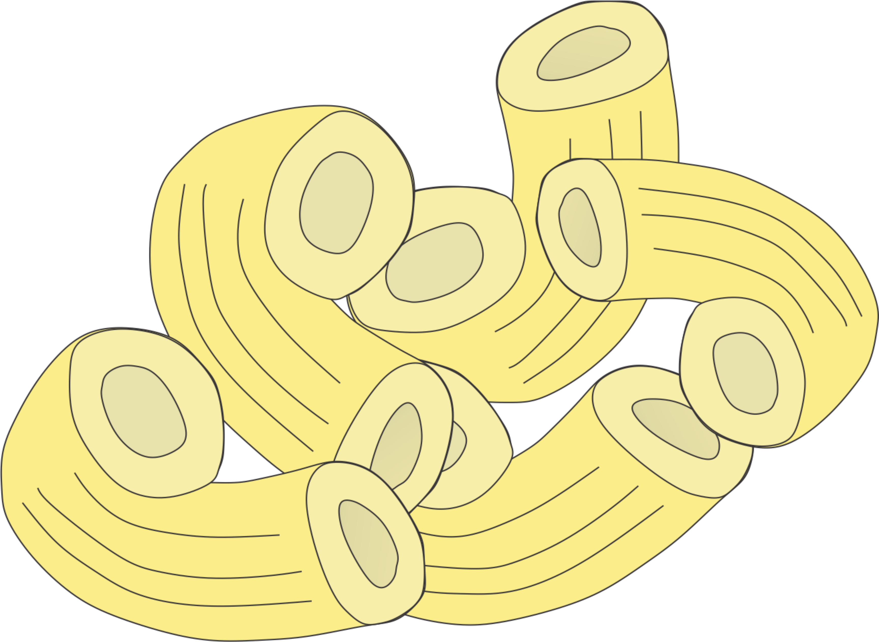 Macaroni - Pasta - Color