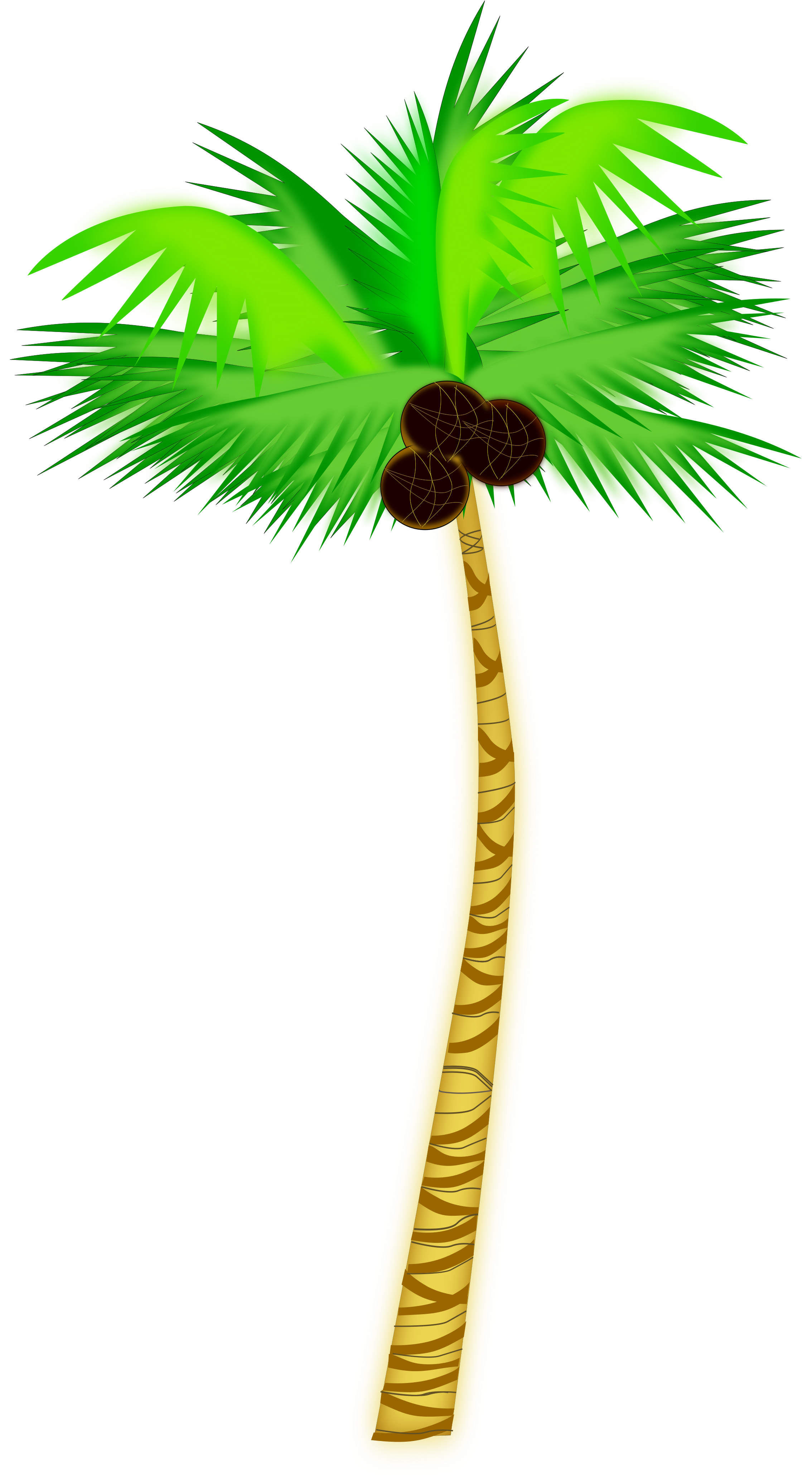 Coconut Tree