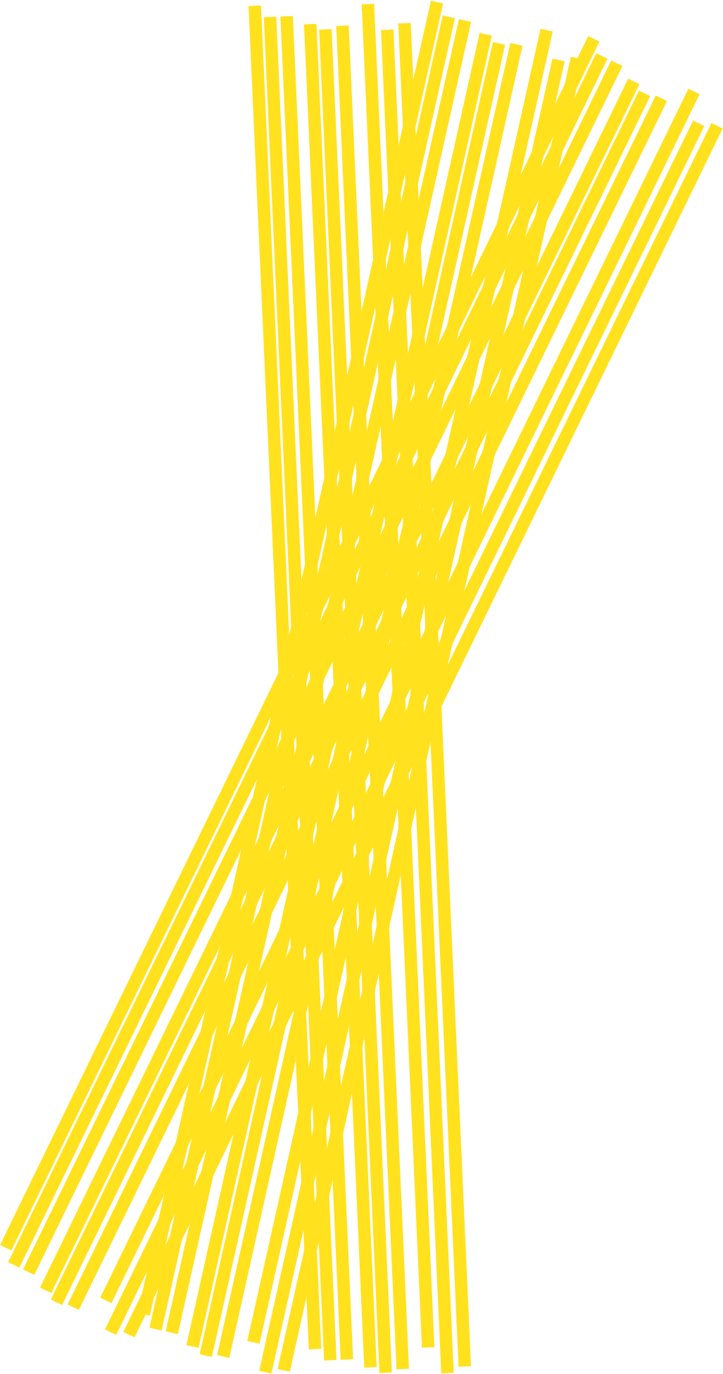Spaghetti Pasta