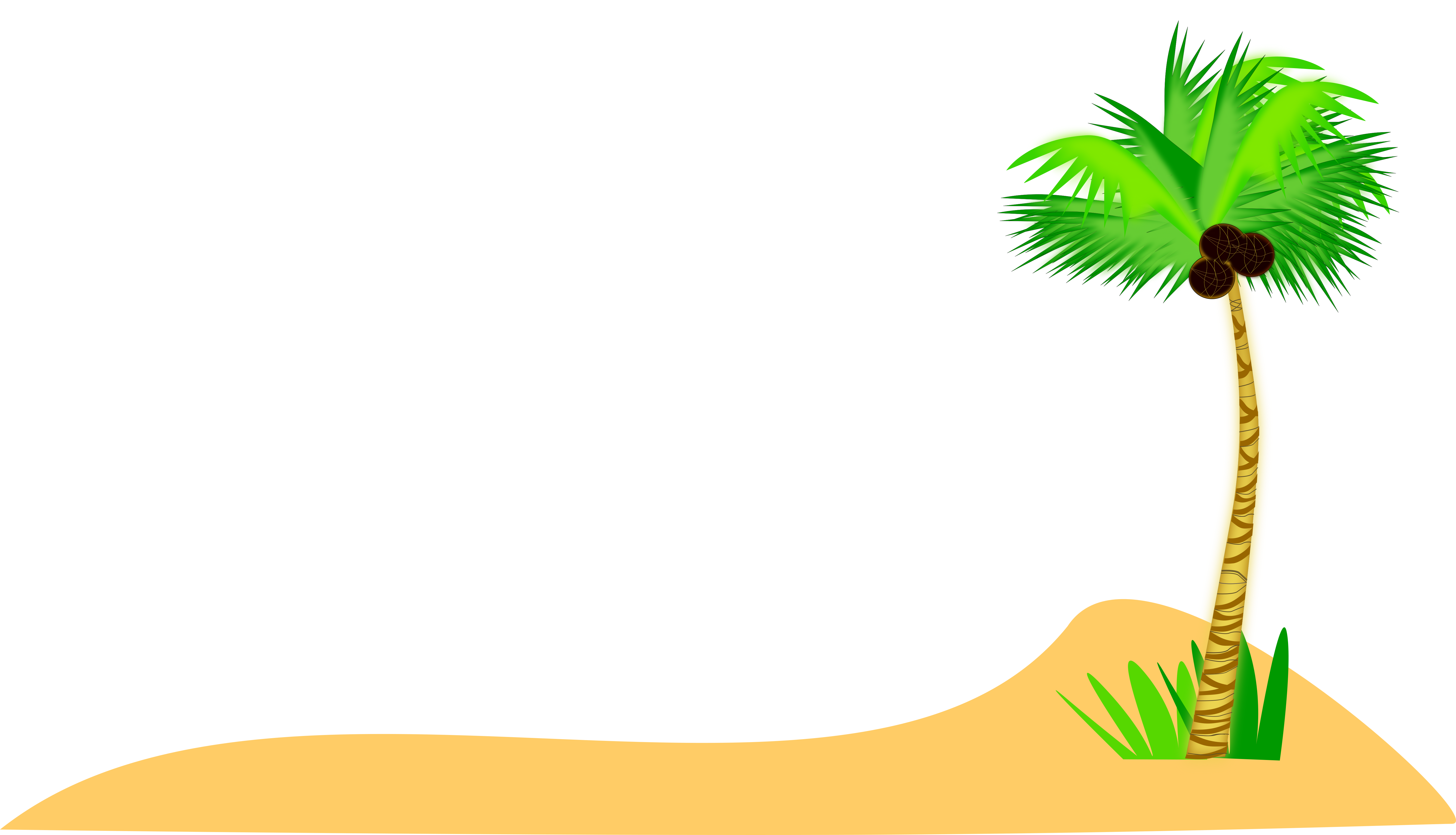 Coconut Tree at the Beach