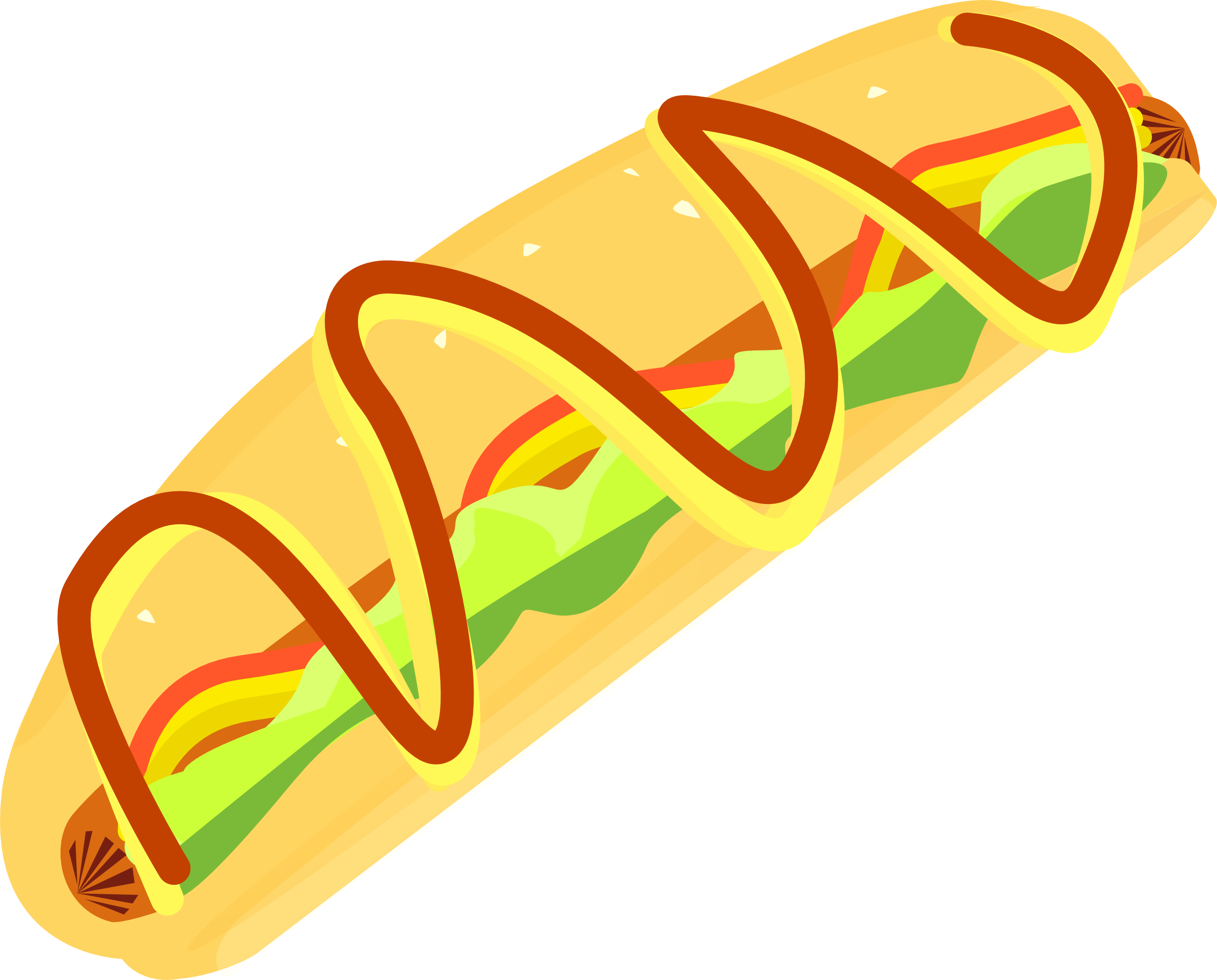 Hot Dog with Mayo, Ketchup, Mustard and Lettuce