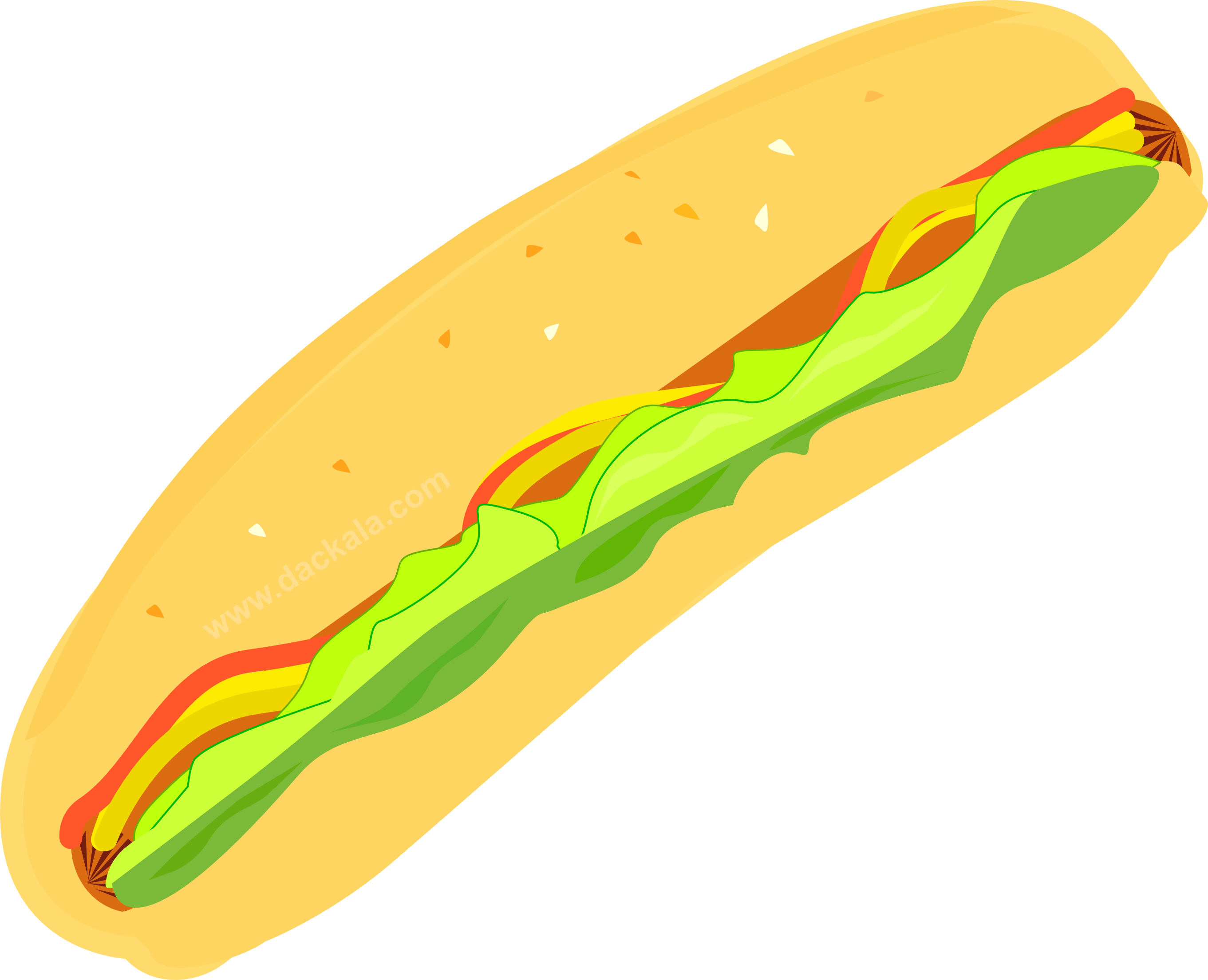Hot Dog  Vector Illustration