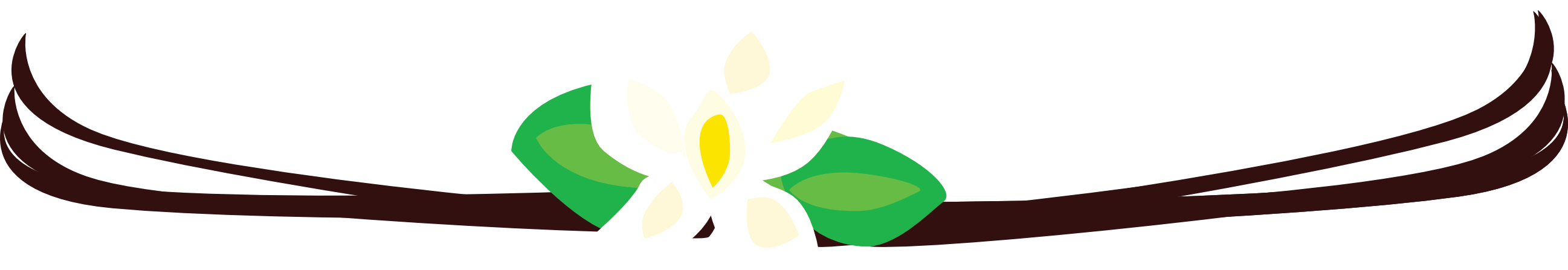 Vanilla Clipart